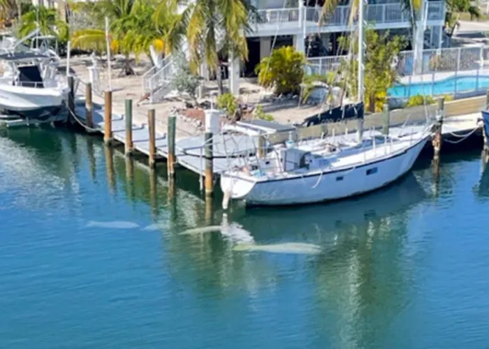 Skipjack Resort & Marina #404
