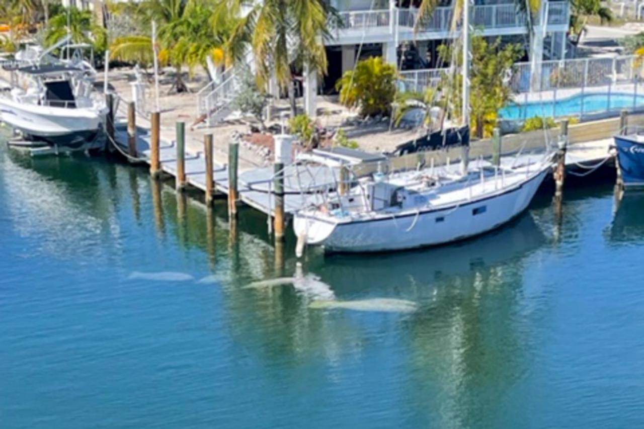 Apartment Skipjack & Marina #404 Marathon